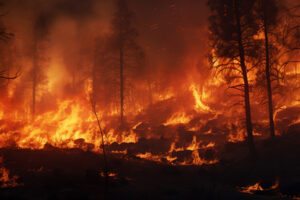 UGT SP expresa su profundo pesar por las personas que han perdido la vida en el incendio forestal de Los Gallardos