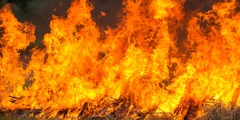 En este momento estás viendo Incendios forestales: cuando la justicia se abre camino entre las llamas