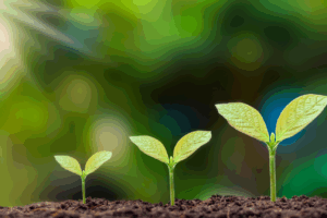 5 de junio Día Mundial del Medio Ambiente